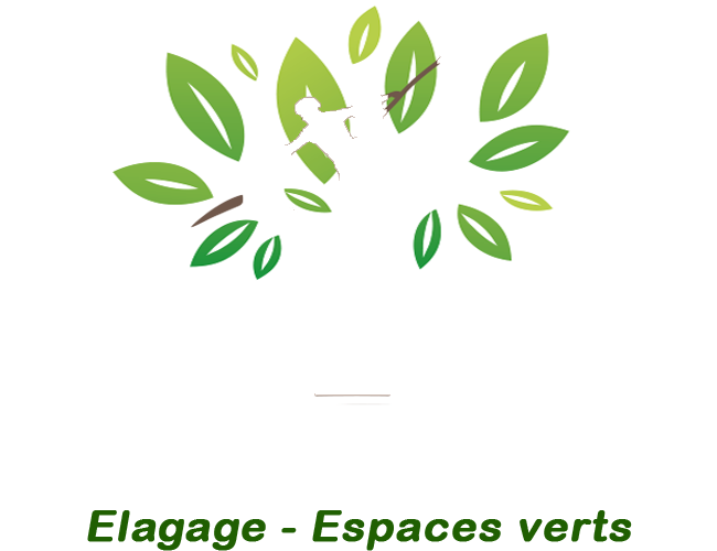 Costallat Elagage Espaces Verts, artisans élagueurs à Rosny-sous-Bois en Seine-Saint-Denis (93)