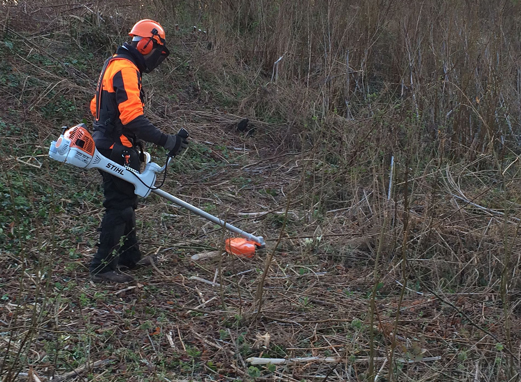 Debroussaillage de terrains et jardins à Rosny-sous-Bois en Seine-Saint-Denis (93)